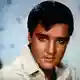 Die Rechteinhaber der Musik von Presley wehren sich mit einer Klage gegen die ungenehmigte Nutzung durch das KI-Unternehmen Anthropic. (Archivbild) - Bild: UPI/dpa