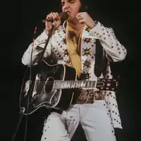 Hätte das Unternehmen Anthropic eine Genehmigung dafür gebraucht, um die Musik des King of Rock'n'Roll für seine KI einzuspeisen? (Archivbild) - Foto: UPI/dpa