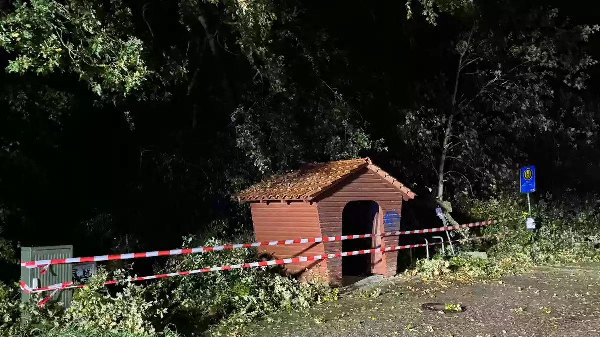FW-AUR: Weitere Sturmfolgen entfernt - Bild: presseportal.de