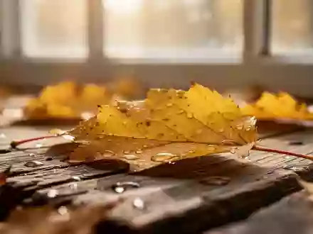Goldene Herbstblätter auf einer hölzernen Oberfläche bei sanftem Morgenlicht. - Foto: über boerse-global.de