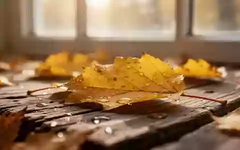 Goldene Herbstblätter auf einer hölzernen Oberfläche bei sanftem Morgenlicht. - Foto: über boerse-global.de