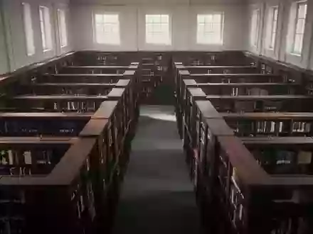 Ein stiller, minimalistischer Archivraum einer wissenschaftlichen Bibliothek mit hohen Holzregalen und natürlichem Lichteinfall. - Foto: über boerse-global.de