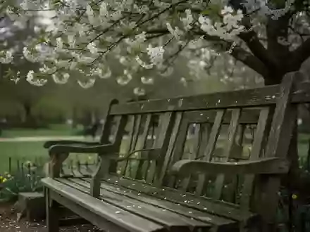 Symbolbild: Parkbank unter einem blühenden Baum - Foto: über boerse-global.de