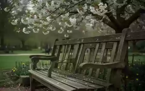 Symbolbild: Parkbank unter einem blühenden Baum - Foto: über boerse-global.de