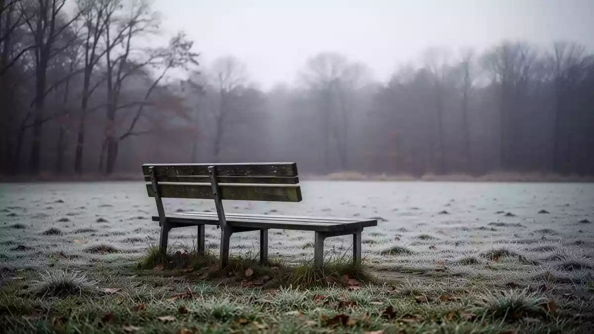 Eine einsame, leere Parkbank auf einer frostigen Wiese an einem grauen Herbsttag. Illustration mit AI erstellt.