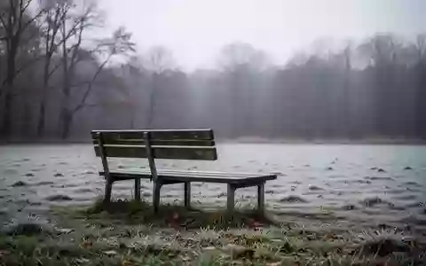 Eine einsame, leere Parkbank auf einer frostigen Wiese an einem grauen Herbsttag. - Foto: über boerse-global.de