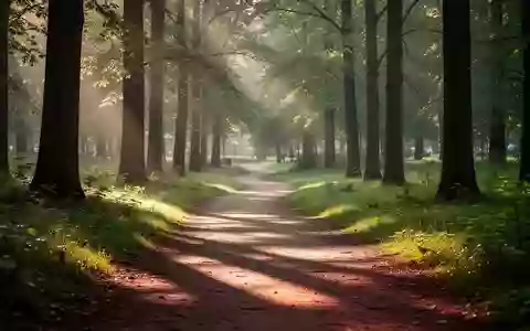 Ein sonnendurchfluteter Waldweg in einem Park, der zu einem Spaziergang einlädt. - Foto: über boerse-global.de