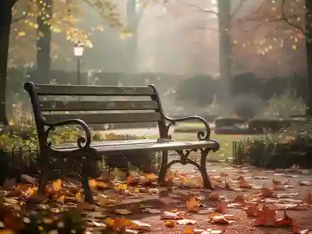 Eine leere Parkbank in einem herbstlichen Garten bei sanftem Sonnenlicht als Symbol für soziale Bindungen und Lebensqualität. - Foto: über boerse-global.de