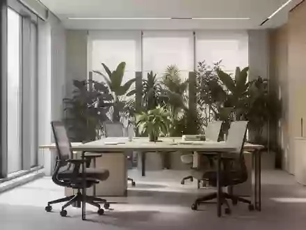 Ein heller, moderner Büroraum mit minimalistischem Design, natürlichem Tageslicht und Zimmerpflanzen. - Foto: über boerse-global.de