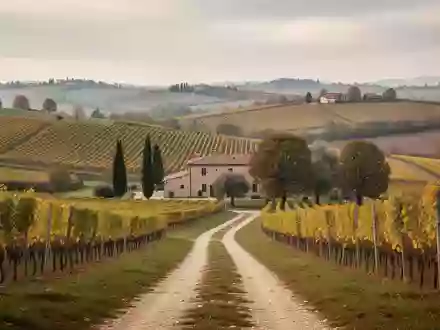 Weite Agrarlandschaft mit Feldern und Weinbergen in einer norditalienischen Region bei bewölktem Himmel. - Foto: über boerse-global.de