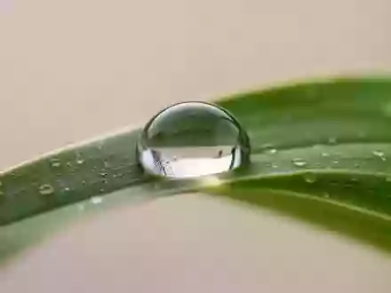 Ein einzelner Wassertropfen auf einem grünen Blatt als Symbol für Heilung und biologische Regeneration. - Foto: über boerse-global.de