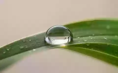 Ein einzelner Wassertropfen auf einem grünen Blatt als Symbol für Heilung und biologische Regeneration. - Foto: über boerse-global.de