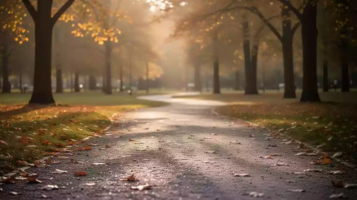 Ein ruhiger, leerer Parkweg im herbstlichen Licht, der eine nachdenkliche und ruhige Atmosphäre vermittelt. Illustration mit AI erstellt.
