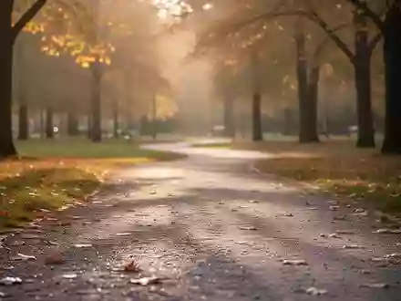 Ein ruhiger, leerer Parkweg im herbstlichen Licht, der eine nachdenkliche und ruhige Atmosphäre vermittelt. - Foto: über boerse-global.de
