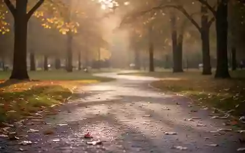 Ein ruhiger, leerer Parkweg im herbstlichen Licht, der eine nachdenkliche und ruhige Atmosphäre vermittelt. - Foto: über boerse-global.de