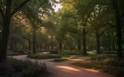 Ein üppiger, baumbestandener Stadtpark mit geschwungenen Wegen bei goldenem Licht. - Foto: über boerse-global.de