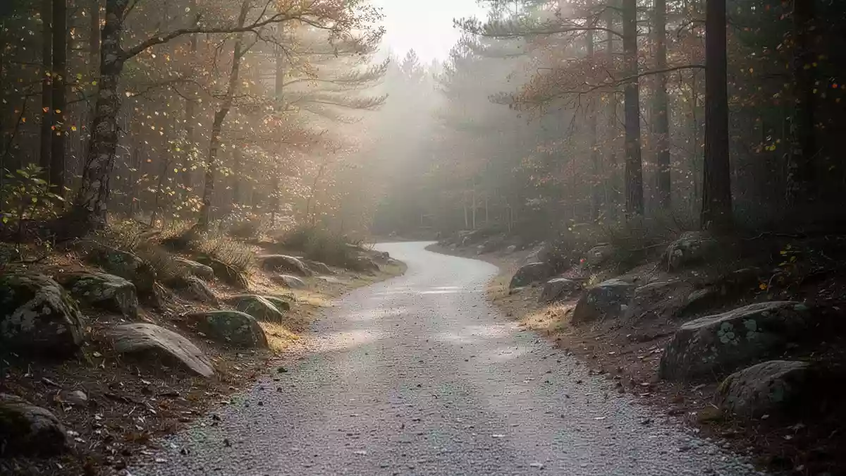 Ein sanfter, ebener Kiesweg in einem herbstlichen Wald bei weichem Morgenlicht. Illustration mit AI erstellt.