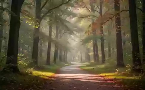 Ein sonnendurchfluteter Waldweg in einem Park an einem Herbstmorgen. - Foto: über boerse-global.de