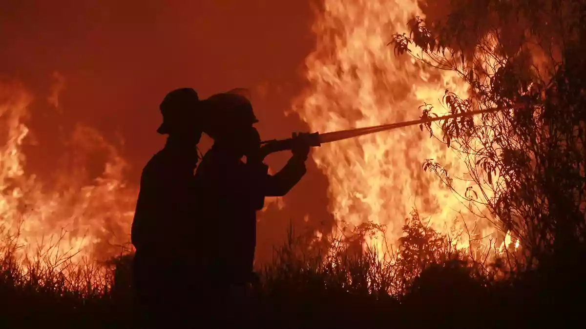 Die Feuer haben verheerende Schäden angerichtet. - Bild: Muhammad Hatta/AP/dpa