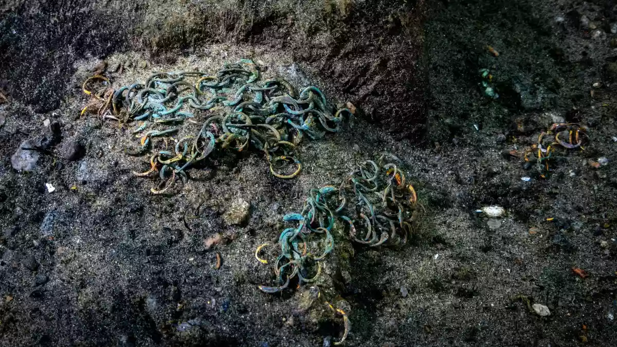 Wrack des 1495 gesunkenen Kriegsschiffs «Gribshunden» in Südschweden. - Bild: Florian Huber/submaris.com/dpa
