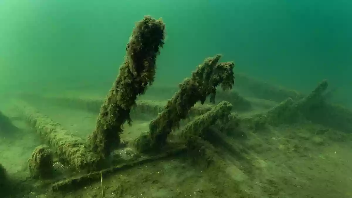 Teile des 1495 gesunkenen Kriegsschiffs «Gribshunden» in Südschweden. - Bild: Florian Huber/submaris.com/dpa