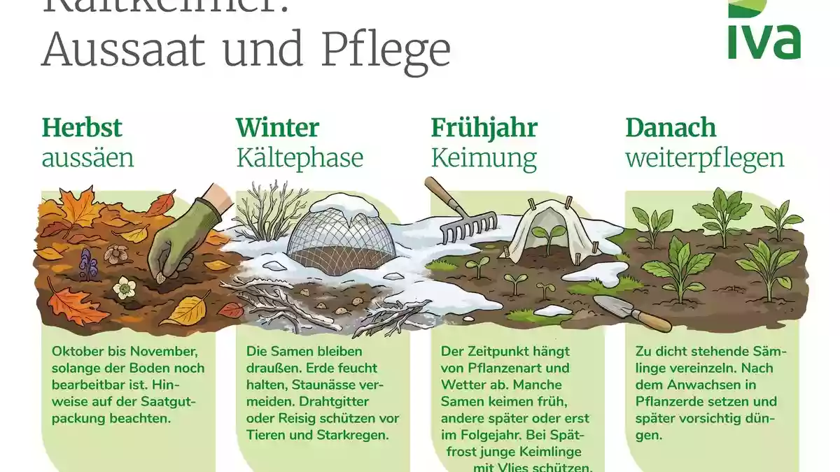 Herbstaussaat für Blüten im nächsten Gartenjahr - Bild: presseportal.de