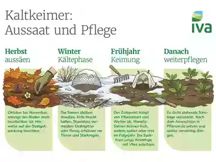 Herbstaussaat für Blüten im nächsten Gartenjahr - Foto: presseportal.de