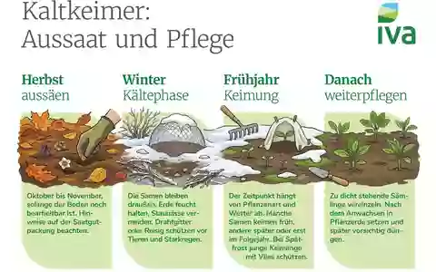 Herbstaussaat für Blüten im nächsten Gartenjahr - Foto: presseportal.de