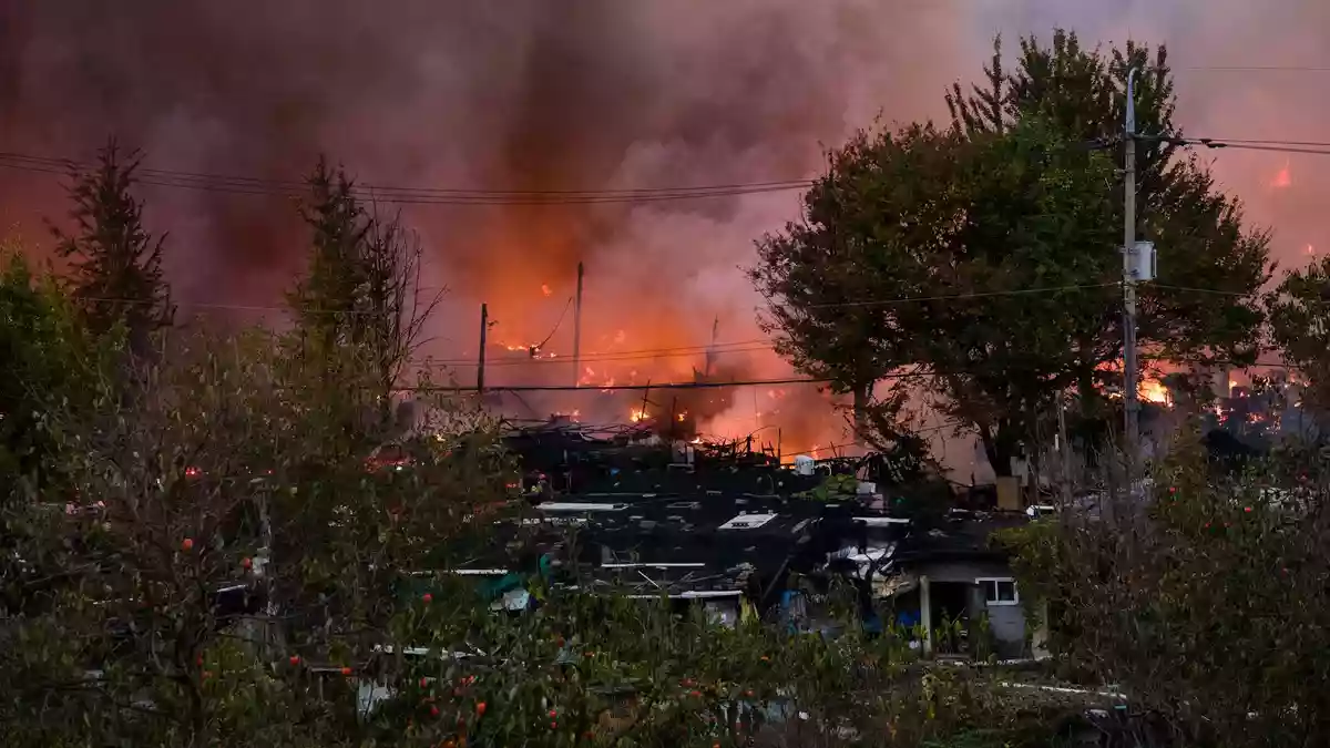 Das Feuer ist bereits am Nachmittag ausgebrochen.  - Bild: Jintak Han/ZUMA Press Wire/dpa