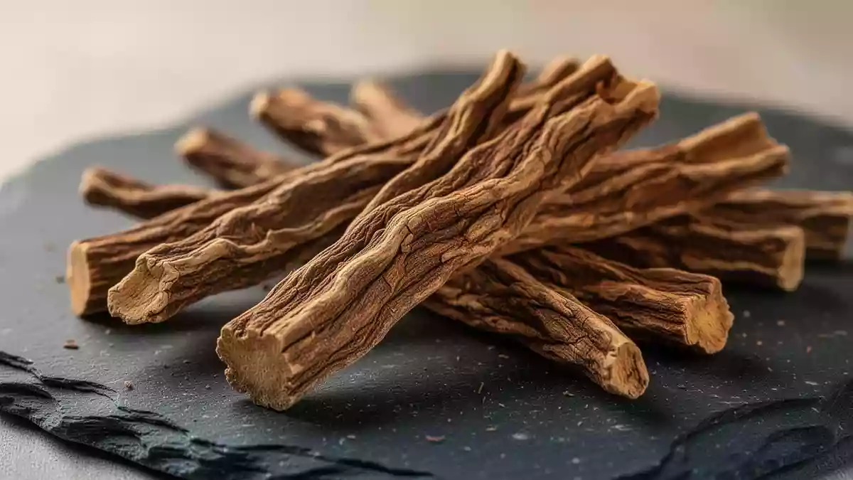 Getrocknete Wurzeln der Heilpflanze Salvia miltiorrhiza auf einem dunklen Steinuntergrund. Illustration mit AI erstellt.