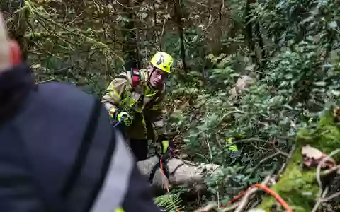 FW-MK: Feuerwehr rettet Golden Retriever aus Steilhang im Iserlohner Stadtwald - Foto: presseportal.de