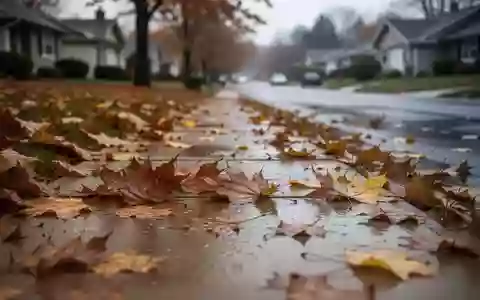 Ein mit nassem Herbstlaub bedeckter Gehweg vor einem Wohnhaus bei trübem Wetter. - Foto: über boerse-global.de