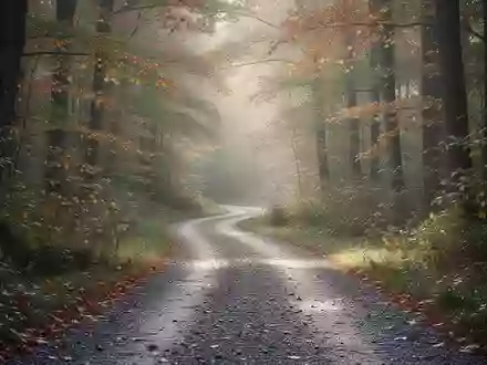 Ein gewundener Waldweg im herbstlichen Morgenlicht, der zu Bewegung und Aktivität im Freien einlädt. - Foto: über boerse-global.de