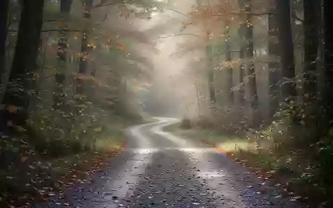 Ein gewundener Waldweg im herbstlichen Morgenlicht, der zu Bewegung und Aktivität im Freien einlädt. - Foto: über boerse-global.de