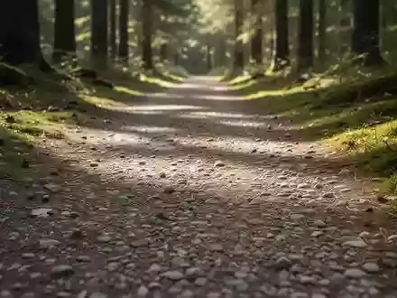 Ein naturbelassener Waldweg mit Kies und Moos als Symbol für gelenkschonende Bewegung und Prävention von Kniebeschwerden. - Foto: über boerse-global.de