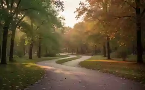 Ein geschwungener Parkweg im warmen Licht der Abendsonne, umgeben von Bäumen und herbstlichem Laub. - Foto: über boerse-global.de