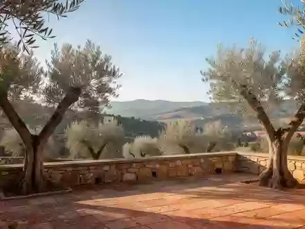 Eine sonnendurchflutete Steinterrasse mit Blick auf eine mediterrane Hügellandschaft und Olivenbäume. - Foto: über boerse-global.de
