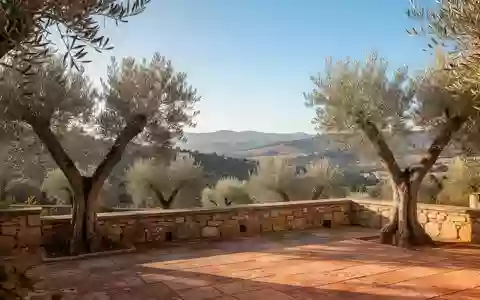 Eine sonnendurchflutete Steinterrasse mit Blick auf eine mediterrane Hügellandschaft und Olivenbäume. - Foto: über boerse-global.de