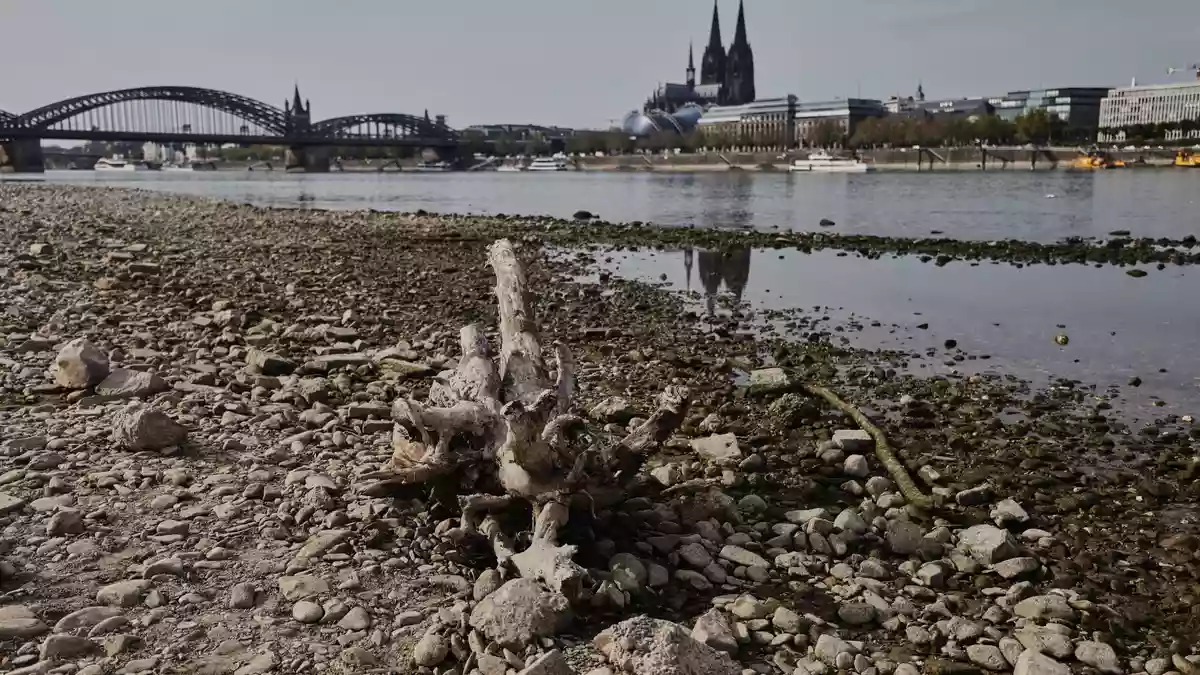 Die Wasserstände der Flüsse waren nach einer Auswertung des Science Media Center dieses Jahr extrem niedrig (Archivbild).  - Bild: Oliver Berg/dpa