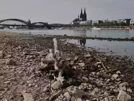 Die Wasserstände der Flüsse waren nach einer Auswertung des Science Media Center dieses Jahr extrem niedrig (Archivbild).  - Foto: Oliver Berg/dpa