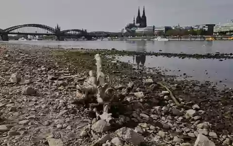 Die Wasserstände der Flüsse waren nach einer Auswertung des Science Media Center dieses Jahr extrem niedrig (Archivbild).  - Foto: Oliver Berg/dpa