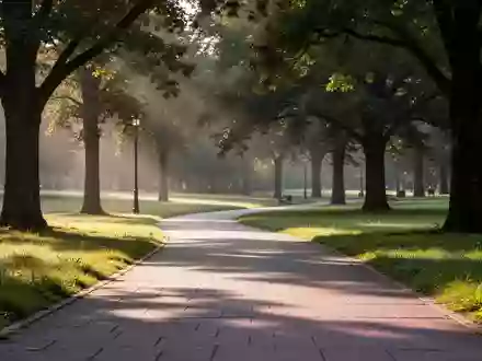 Ein sonniger, leerer Parkweg in einer grünen Landschaft als Symbol für Bewegung und physische Aktivität. - Foto: über boerse-global.de