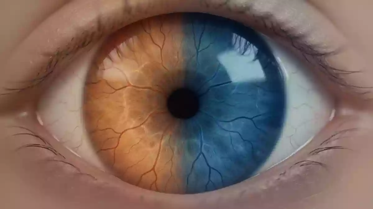Nahaufnahme einer menschlichen Netzhaut mit Fokus auf zelluläre Strukturen und Lichtreflexionen. Illustration mit AI erstellt.