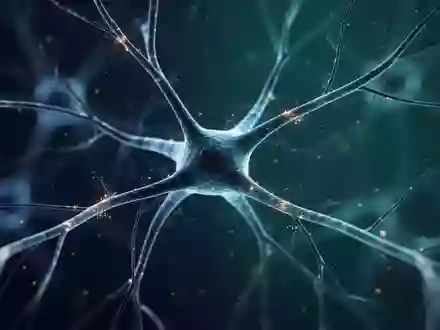 Nahaufnahme von komplexen neuronalen Zellstrukturen unter einem Mikroskop als Symbol für neurologische Forschung - Foto: über boerse-global.de