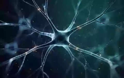 Nahaufnahme von komplexen neuronalen Zellstrukturen unter einem Mikroskop als Symbol für neurologische Forschung - Foto: über boerse-global.de