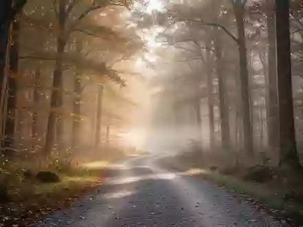 Ein ruhiger, von der Morgensonne durchfluteter Waldweg im Herbst, der zu ausgedehnten Spaziergängen einlädt. - Foto: über boerse-global.de