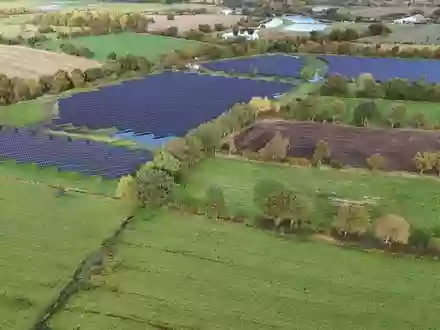 MaxSolar schließt Corporate PPA mit SAP: Erneuerbarer Strom aus zwei deutschen Solarparks - Foto: presseportal.de