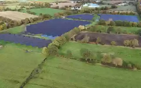 MaxSolar schließt Corporate PPA mit SAP: Erneuerbarer Strom aus zwei deutschen Solarparks - Foto: presseportal.de