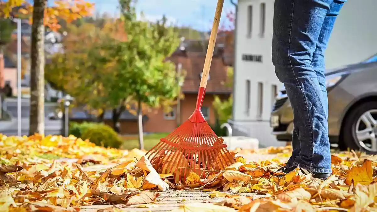 Nasses Herbstlaub bringt Passanten ins Rutschen: Wer haftet bei Unfällen? / Reinigungspflicht kann übertragen werden - Bild: presseportal.de
