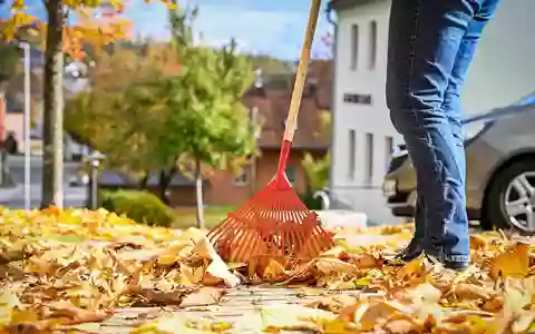 Nasses Herbstlaub bringt Passanten ins Rutschen: Wer haftet bei Unfällen? / Reinigungspflicht kann übertragen werden - Foto: presseportal.de